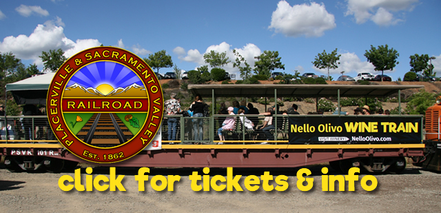 Visit the Placerville & Sacramento Valley Railroad website for tickets and info